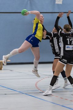 Bild 164 - F HSG Pinnau2 - Rellinger TV2 : Ergebnis: 27:20